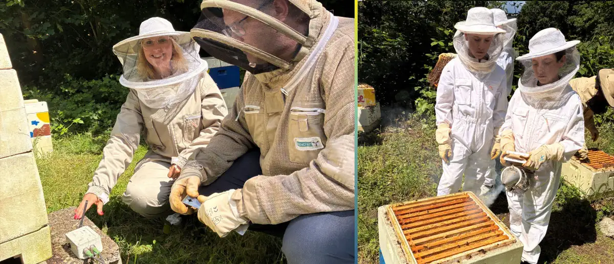 Smarte Bienenwaage