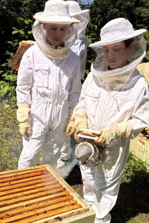 Bienenwaage